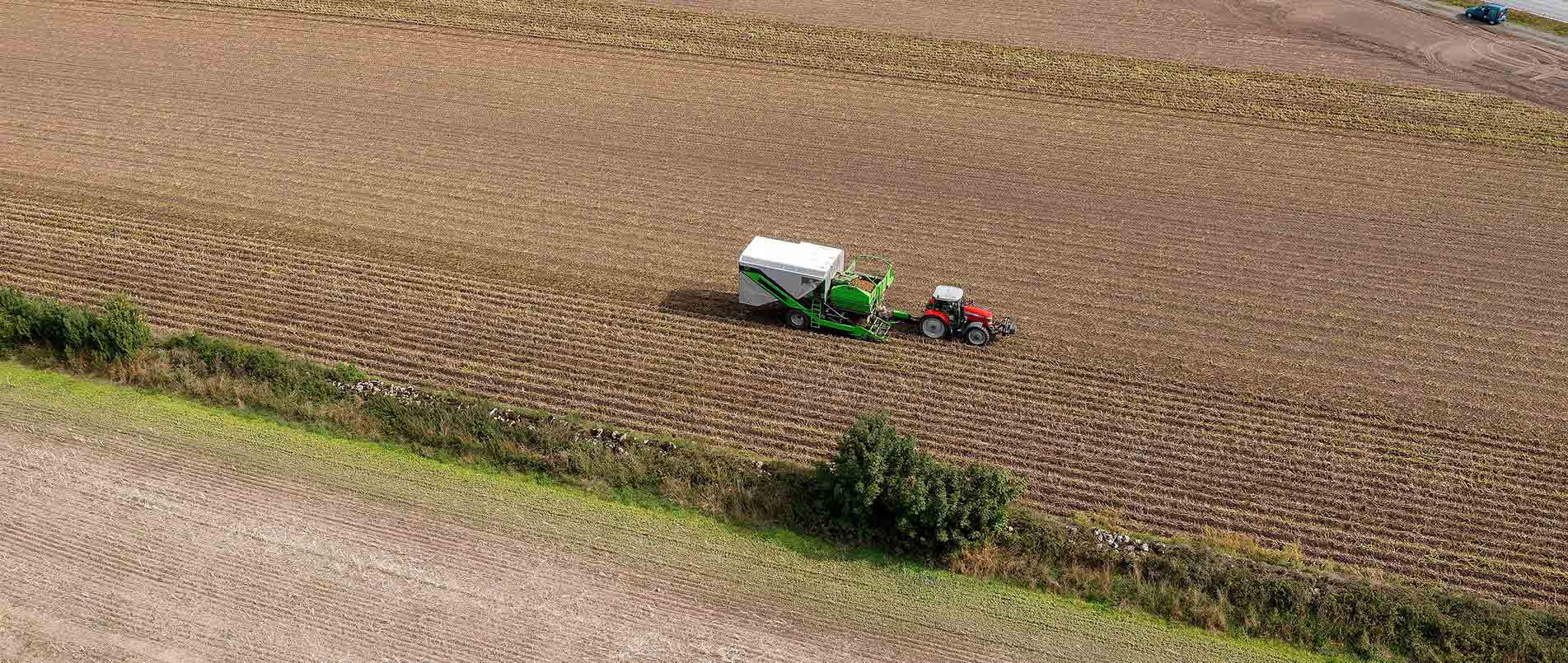 “探、收、烘、运”，看j9官网如何四管齐下一站式保障秋收果实