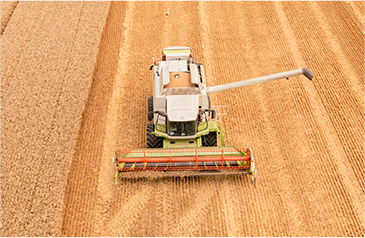 收——加大收割自动化力度，利用智能收获系统，保种保收，提产提质
