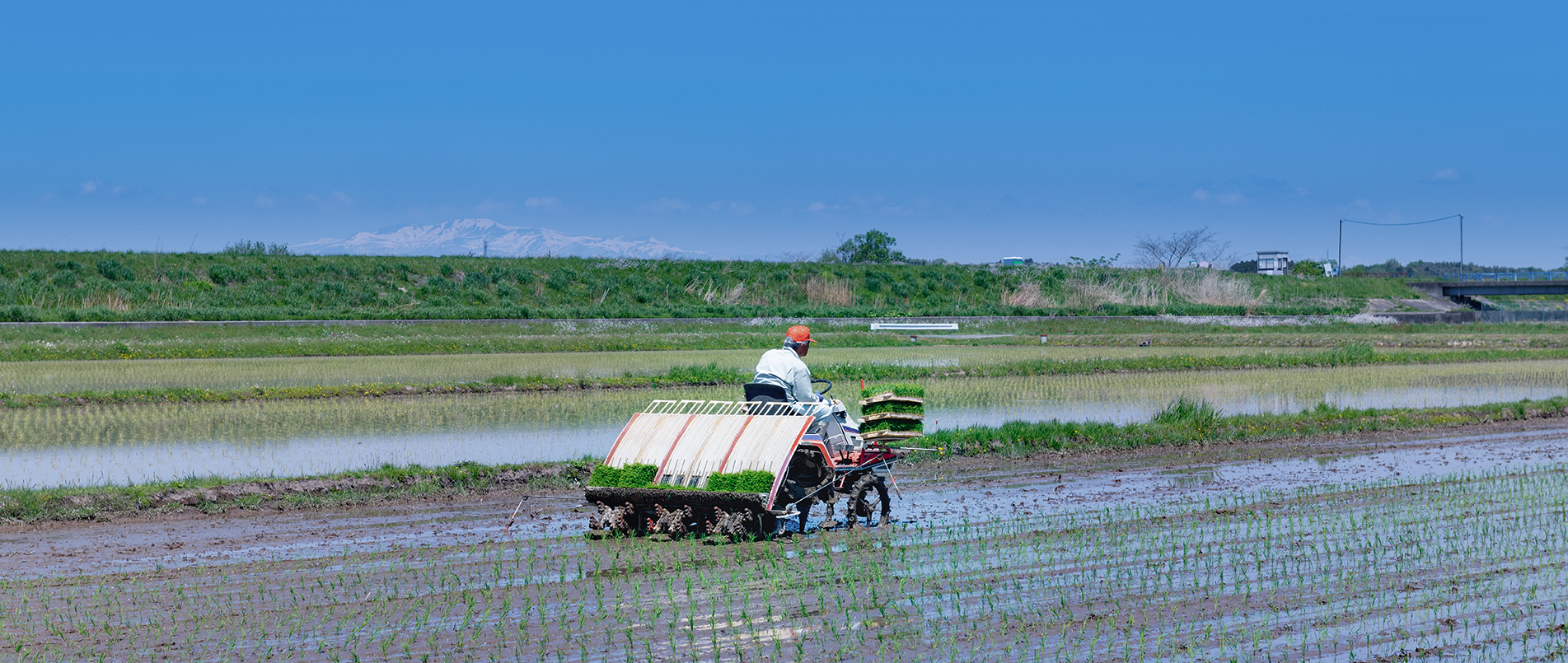 农机水田作业的“智慧大脑”——沃地泰FMA210，告别“经验种植”，开启精准高效农业之旅